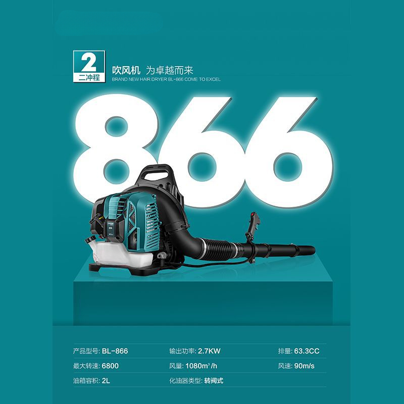 Two-stroke backpack hair dryer - Backpacks review and price
